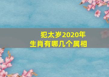 犯太岁2020年生肖有哪几个属相