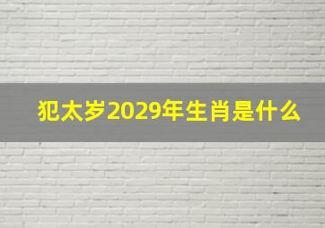 犯太岁2029年生肖是什么