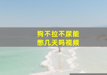 狗不拉不尿能憋几天吗视频