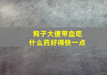 狗子大便带血吃什么药好得快一点