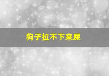 狗子拉不下来屎