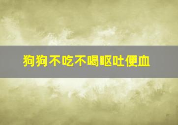 狗狗不吃不喝呕吐便血