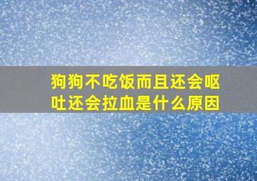 狗狗不吃饭而且还会呕吐还会拉血是什么原因