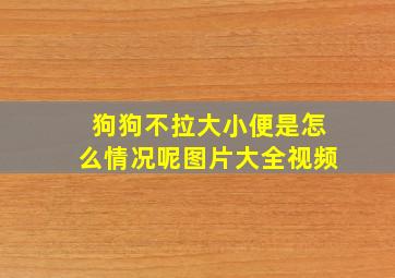 狗狗不拉大小便是怎么情况呢图片大全视频