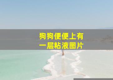 狗狗便便上有一层粘液图片