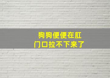 狗狗便便在肛门口拉不下来了