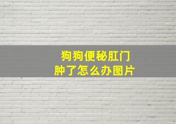 狗狗便秘肛门肿了怎么办图片