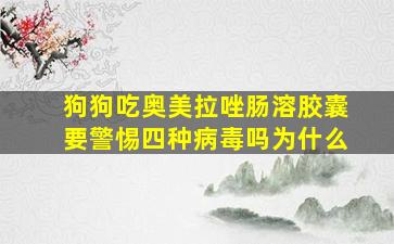 狗狗吃奥美拉唑肠溶胶囊要警惕四种病毒吗为什么