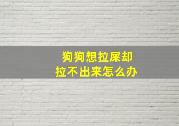 狗狗想拉屎却拉不出来怎么办