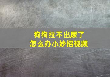 狗狗拉不出尿了怎么办小妙招视频