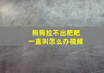 狗狗拉不出粑粑一直叫怎么办视频