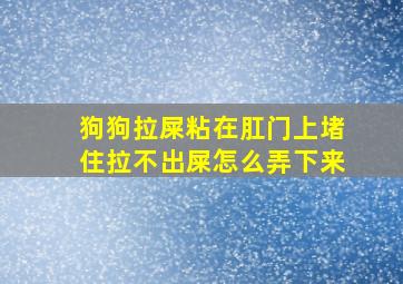 狗狗拉屎粘在肛门上堵住拉不出屎怎么弄下来