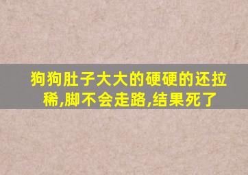 狗狗肚子大大的硬硬的还拉稀,脚不会走路,结果死了