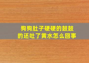 狗狗肚子硬硬的鼓鼓的还吐了黄水怎么回事