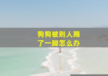 狗狗被别人踢了一脚怎么办