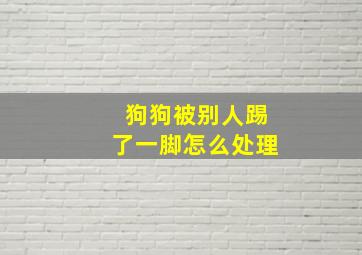 狗狗被别人踢了一脚怎么处理