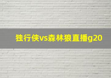 独行侠vs森林狼直播g20