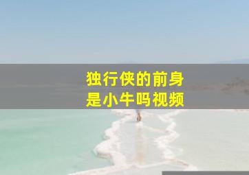 独行侠的前身是小牛吗视频