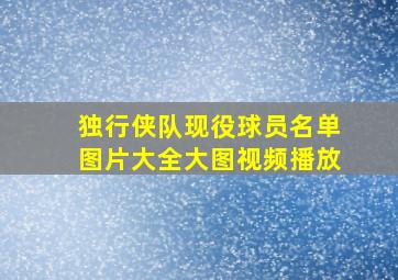 独行侠队现役球员名单图片大全大图视频播放