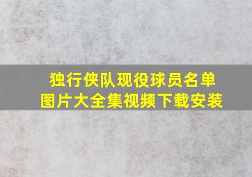 独行侠队现役球员名单图片大全集视频下载安装