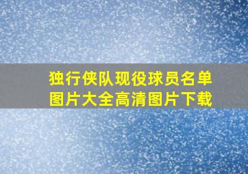 独行侠队现役球员名单图片大全高清图片下载