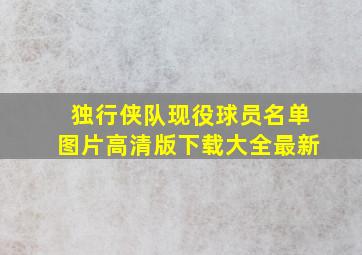 独行侠队现役球员名单图片高清版下载大全最新