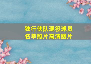 独行侠队现役球员名单照片高清图片