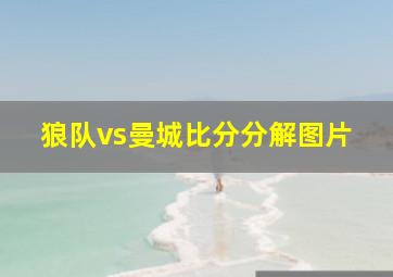 狼队vs曼城比分分解图片