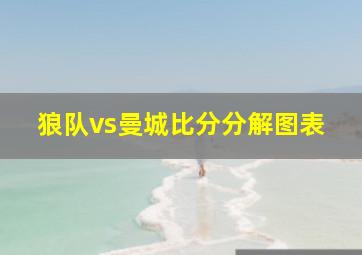 狼队vs曼城比分分解图表