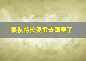 狼队特拉奥雷去哪里了