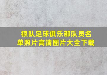 狼队足球俱乐部队员名单照片高清图片大全下载