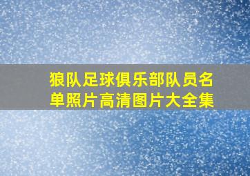 狼队足球俱乐部队员名单照片高清图片大全集