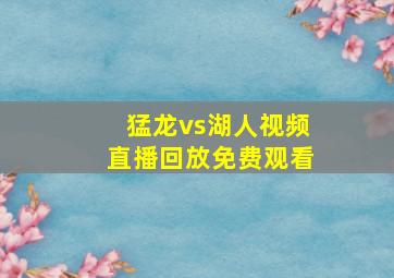 猛龙vs湖人视频直播回放免费观看