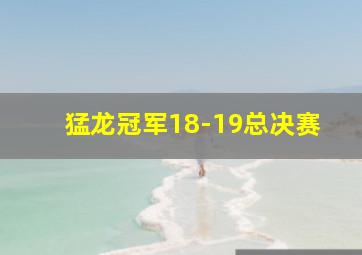 猛龙冠军18-19总决赛