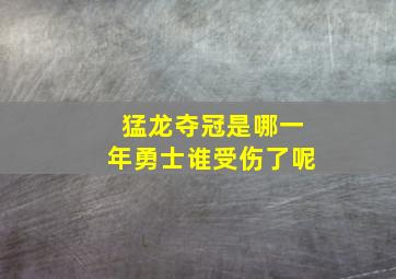 猛龙夺冠是哪一年勇士谁受伤了呢