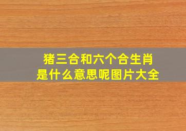 猪三合和六个合生肖是什么意思呢图片大全