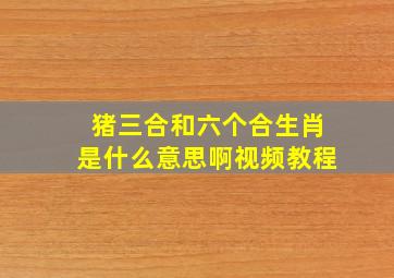 猪三合和六个合生肖是什么意思啊视频教程