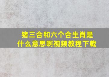 猪三合和六个合生肖是什么意思啊视频教程下载