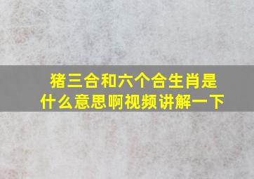 猪三合和六个合生肖是什么意思啊视频讲解一下