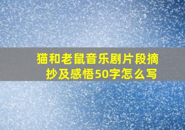 猫和老鼠音乐剧片段摘抄及感悟50字怎么写