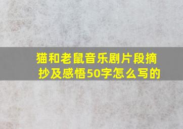 猫和老鼠音乐剧片段摘抄及感悟50字怎么写的