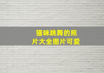 猫咪跳舞的照片大全图片可爱