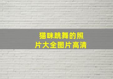 猫咪跳舞的照片大全图片高清