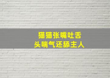 猫猫张嘴吐舌头喘气还舔主人