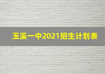 玉溪一中2021招生计划表