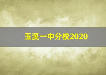 玉溪一中分校2020