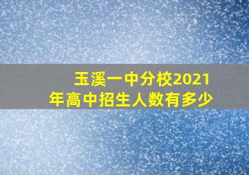 玉溪一中分校2021年高中招生人数有多少