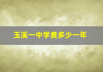 玉溪一中学费多少一年