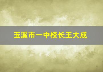 玉溪市一中校长王大成