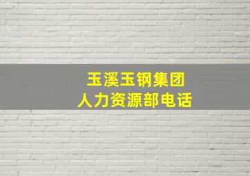 玉溪玉钢集团人力资源部电话